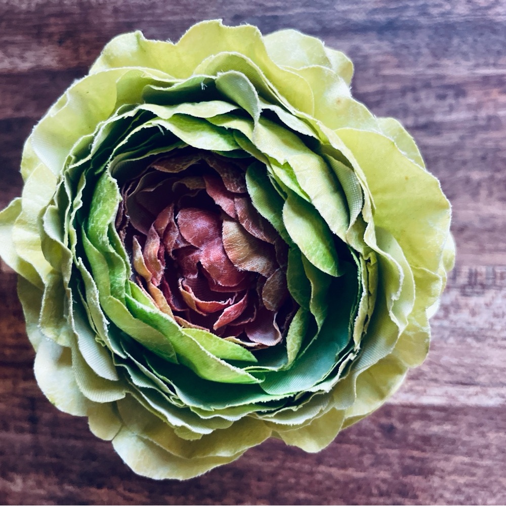 (1) Green and Brown Floral napkin rings from the original Pier1